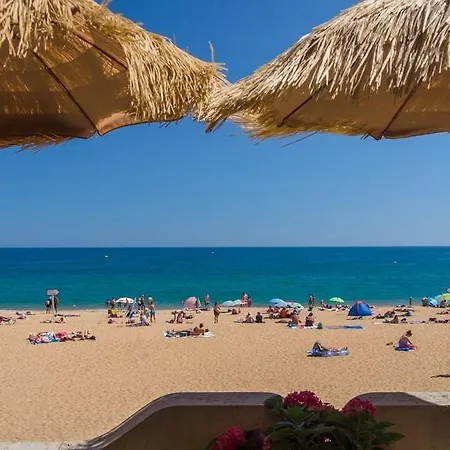 Сasa de vacaciones Branca