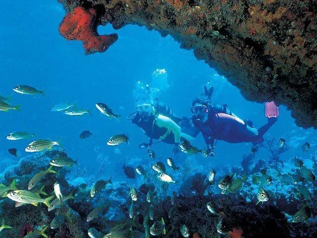 Branca Σπίτι διακοπών