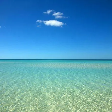 Σπίτι διακοπών Branca